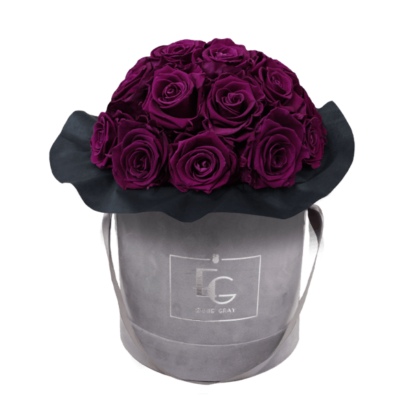 Splendid Infinity Rosebox | Velvet Plum | M