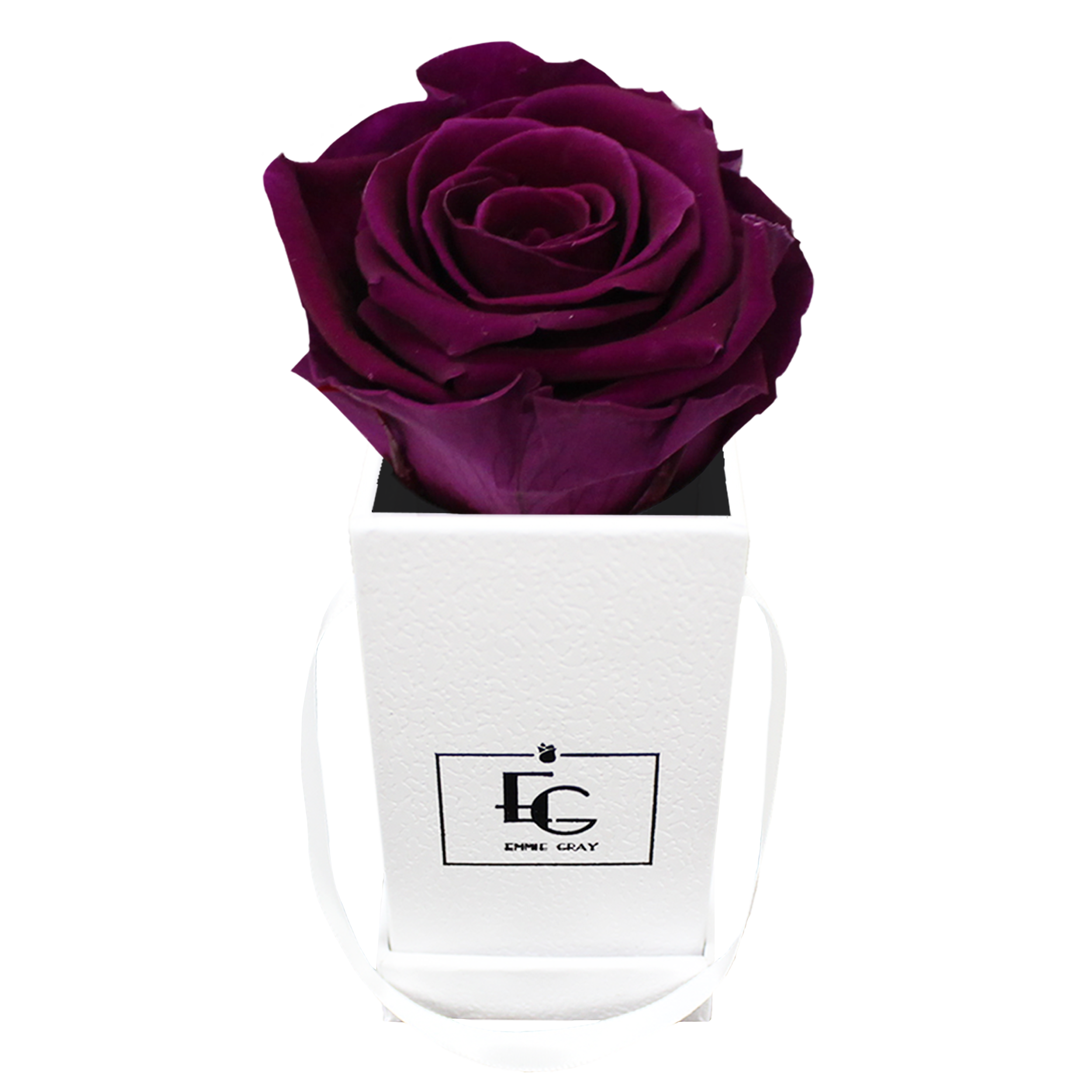CLASSIC INFINITY ROSEBOX | VELVET PLUM | XXS