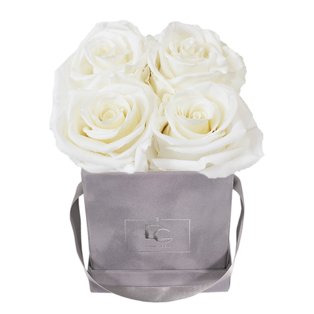 CLASSIC INFINITY ROSEBOX | PURE WHITE | XS