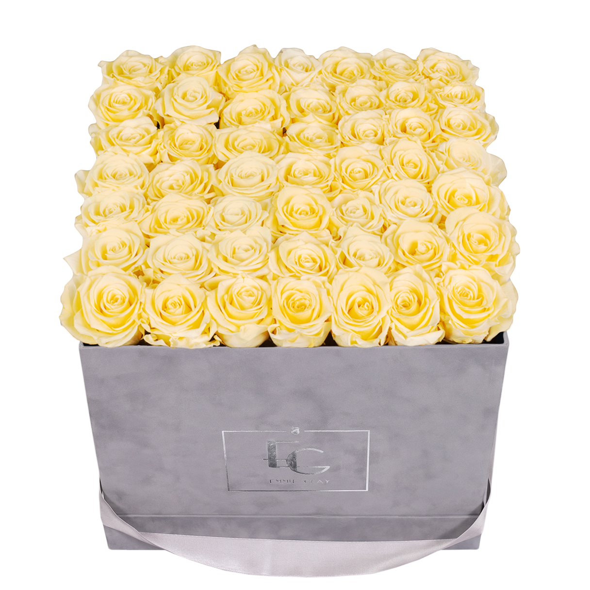 CLASSIC INFINITY ROSEBOX | CHAMPAGNE | L