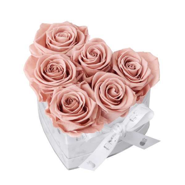 Classic Infinity Rosebox | Antique Pink | S