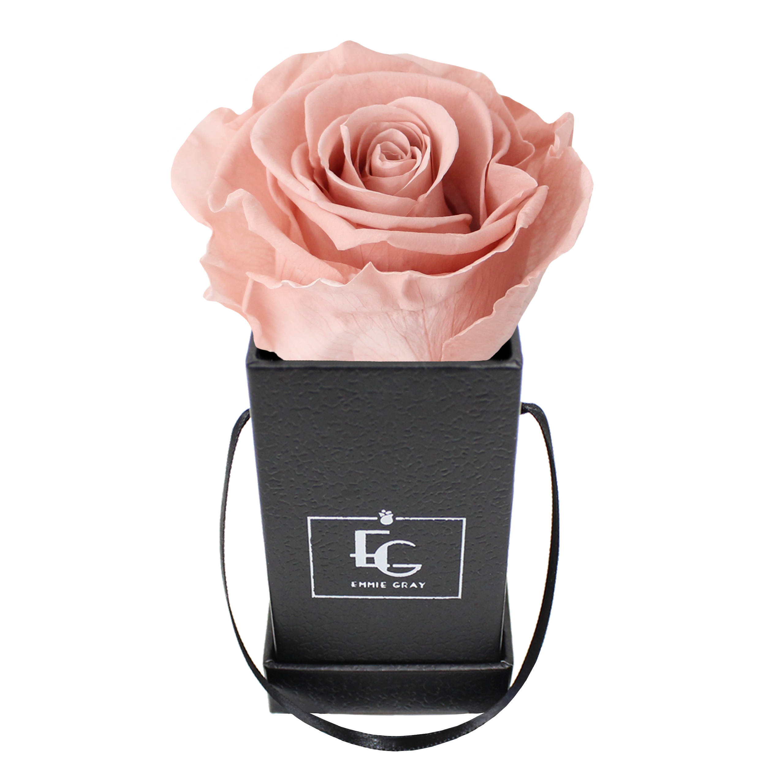 Classic Infinity Rosebox | Antique Pink | XXS