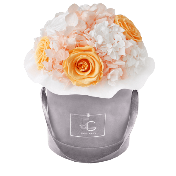 Splendid Hydrangea Mix Infinity Rosebox | Perfect Peach & Pure White | S