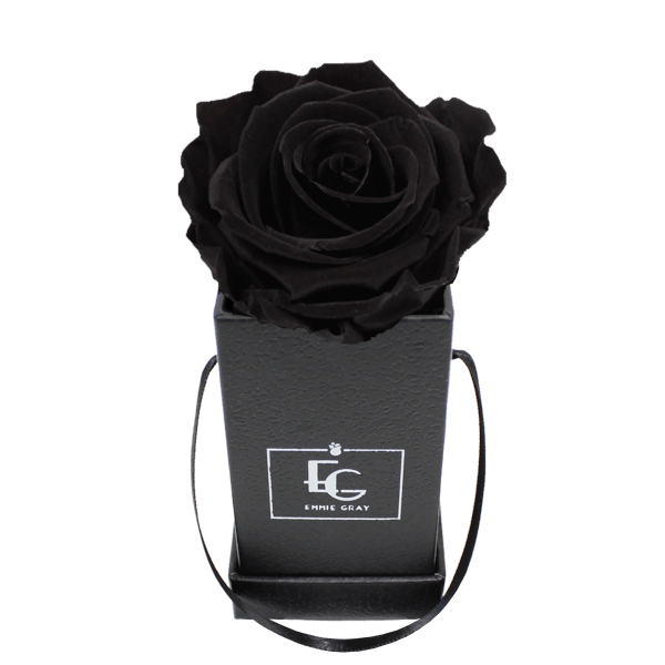 CLASSIC INFINITY ROSEBOX | BLACK BEAUTY | XXS