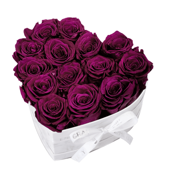 Classic Infinity Rosebox | Velvet Plum | M