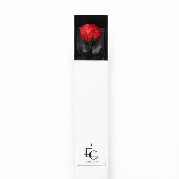 Long Stem Infinity Rose | Vibrant Red | 1 Rose