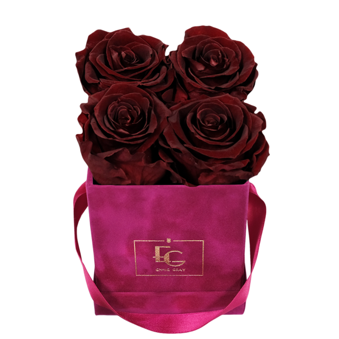 CLASSIC INFINITY ROSEBOX | BURGUNDY | XS