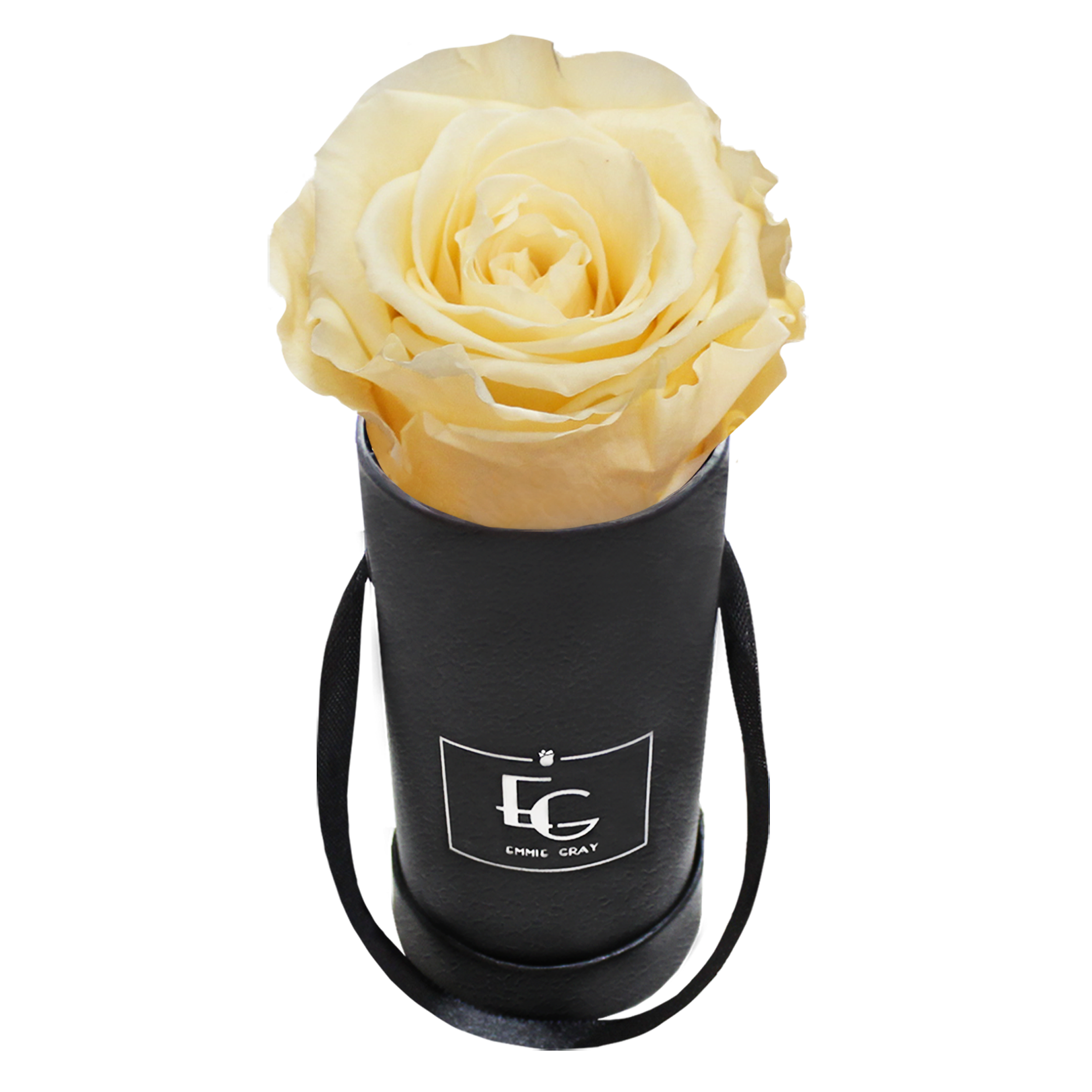 CLASSIC INFINITY ROSEBOX | CHAMPAGNE | XXS