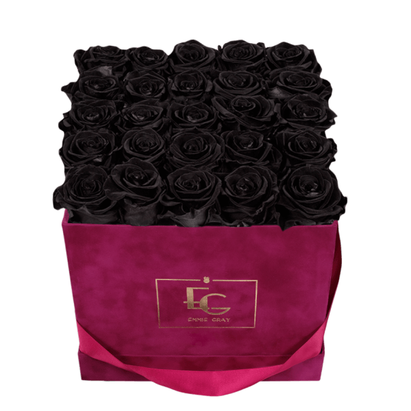 CLASSIC INFINITY ROSEBOX | BLACK BEAUTY | M