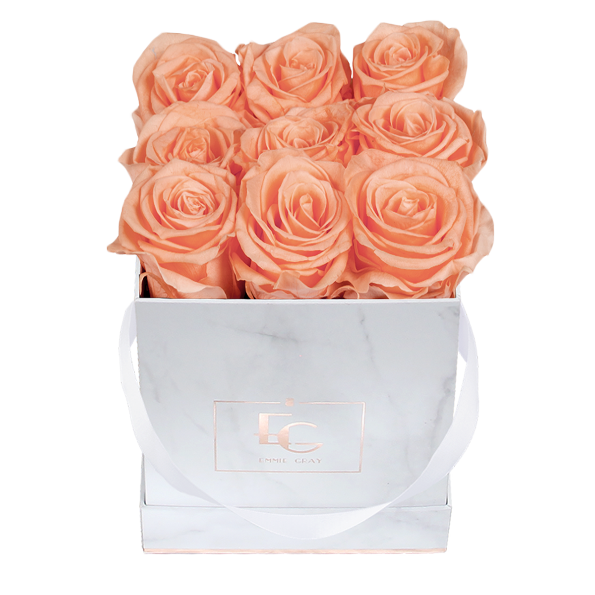 Classic Infinity Rosebox | Perfect Peach | S