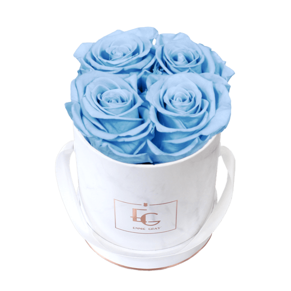 Classic Infinity Rosebox | Baby Blue | XS