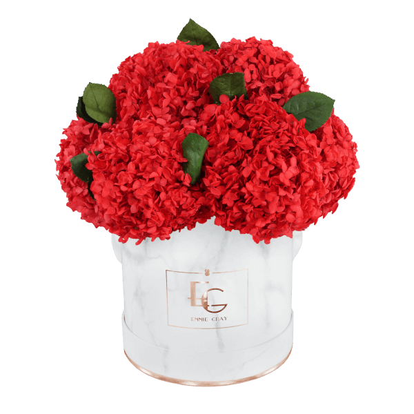 Signature Hydrangea Infinity Rosebox | Vibrant Red | M