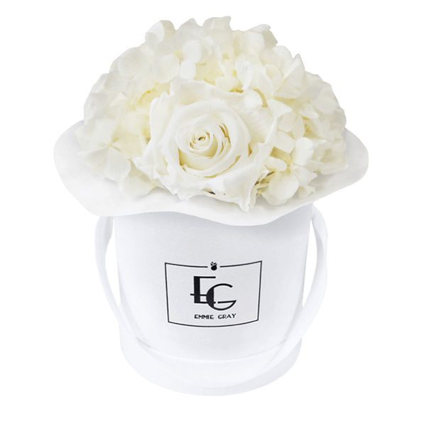 Splendid Hydrangea Infinity Rosebox | Pure White | XS