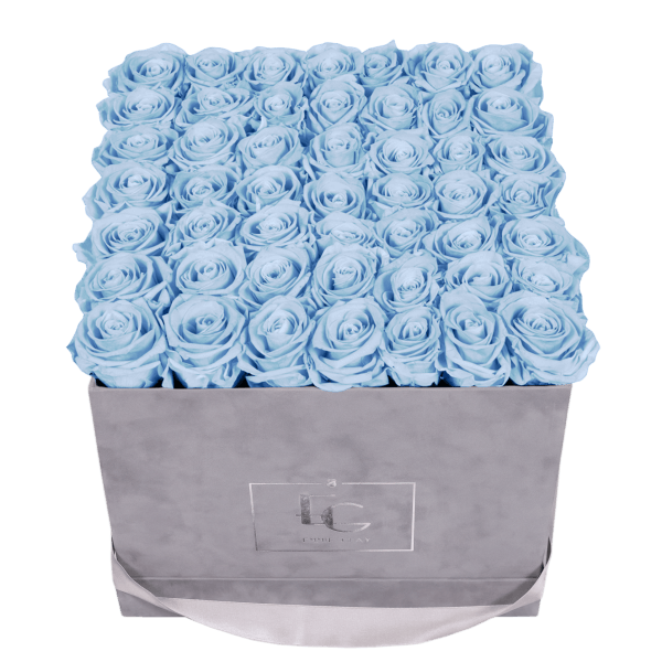 CLASSIC INFINITY ROSEBOX | BABY BLUE | L