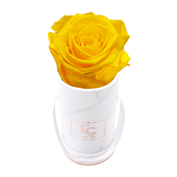 Classic Infinity Rosebox | Sunny Yellow | XXS