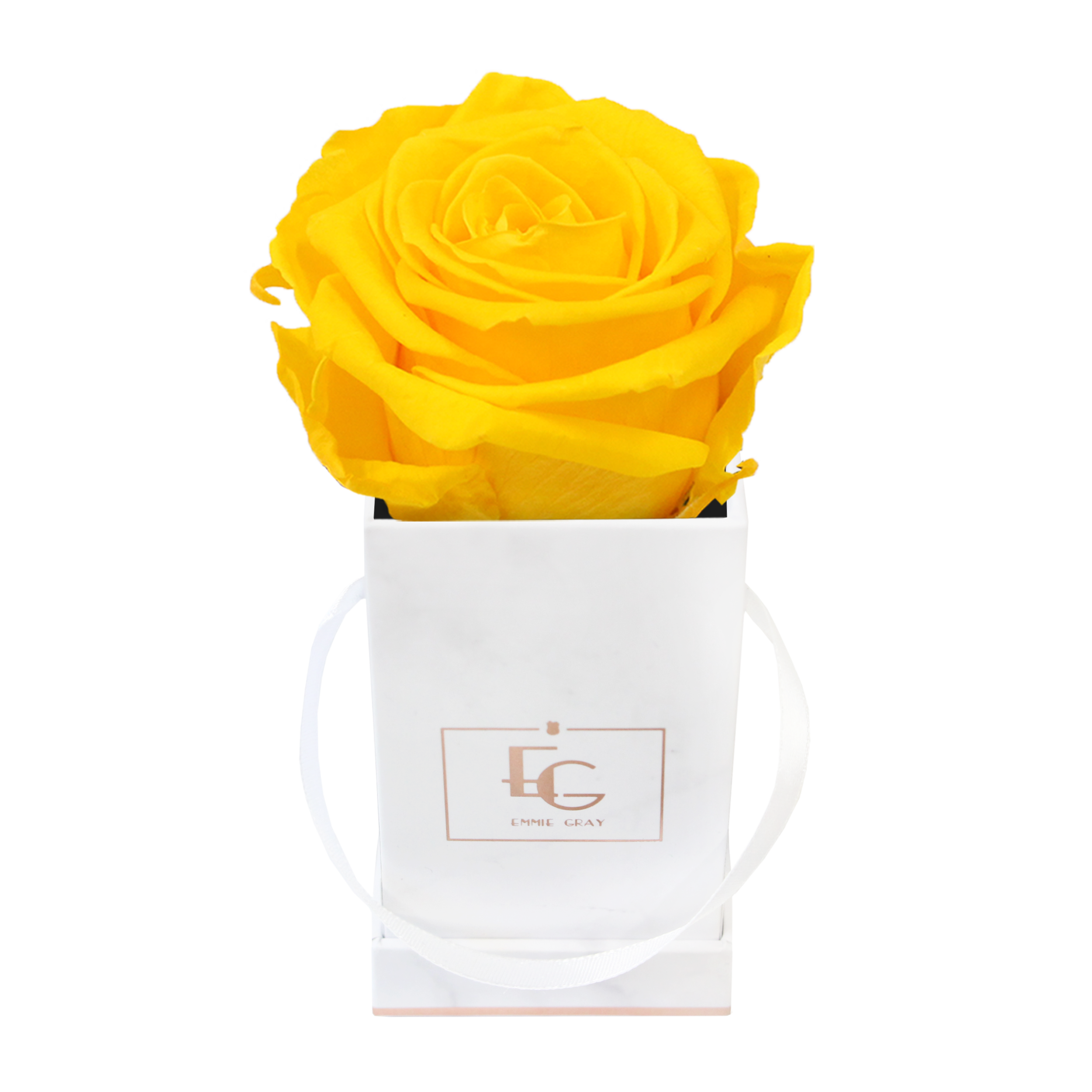 Classic Infinity Rosebox | Sunny Yellow | XXS