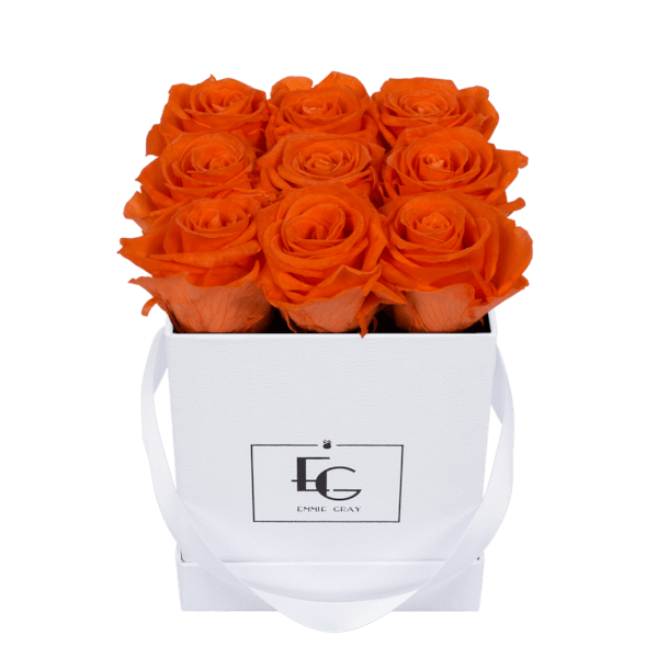 CLASSIC INFINITY ROSEBOX | ORANGE FLAME | S