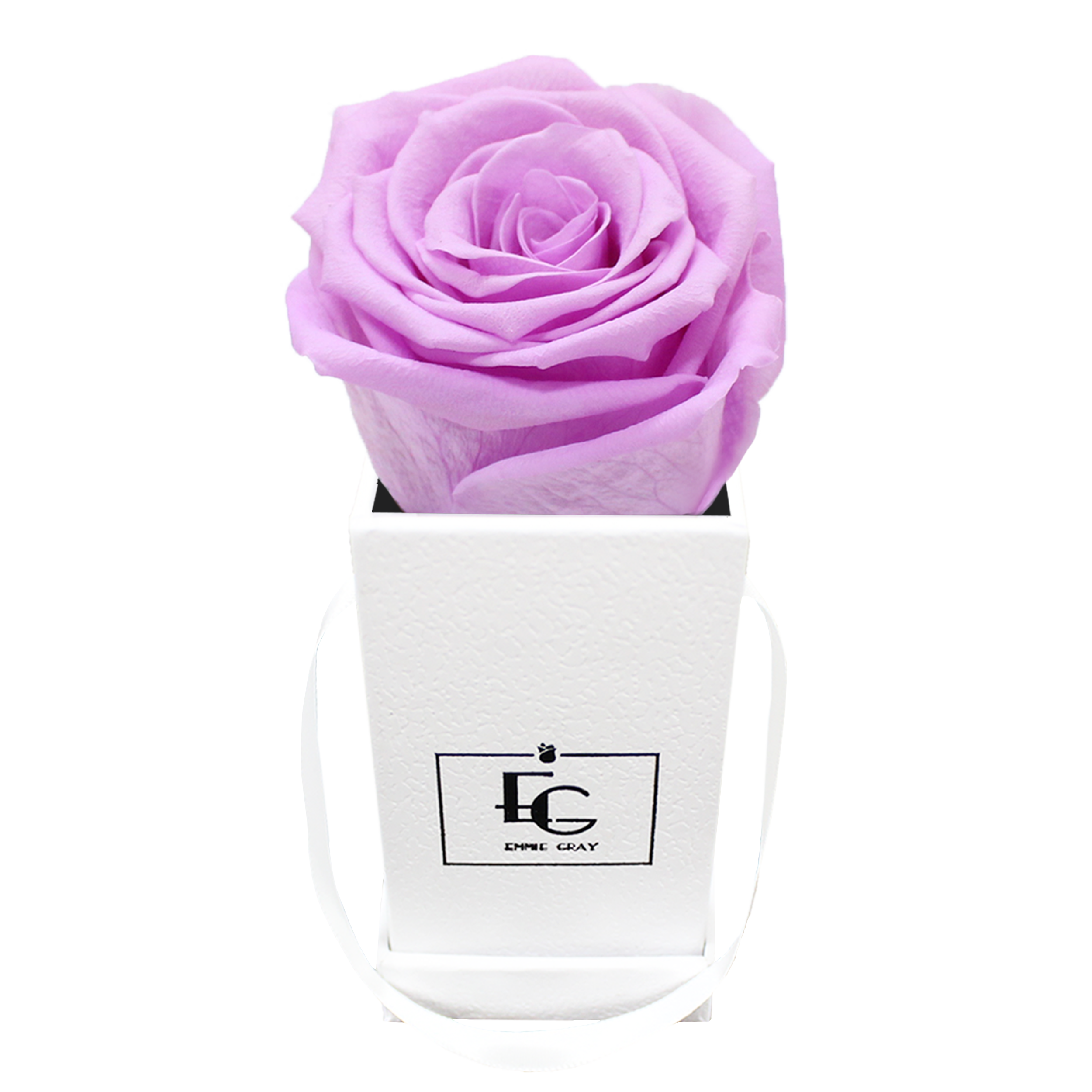 CLASSIC INFINITY ROSEBOX | BABY LILLI | XXS