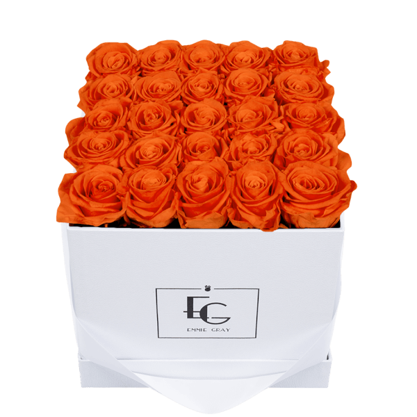 CLASSIC INFINITY ROSEBOX | ORANGE FLAME | M