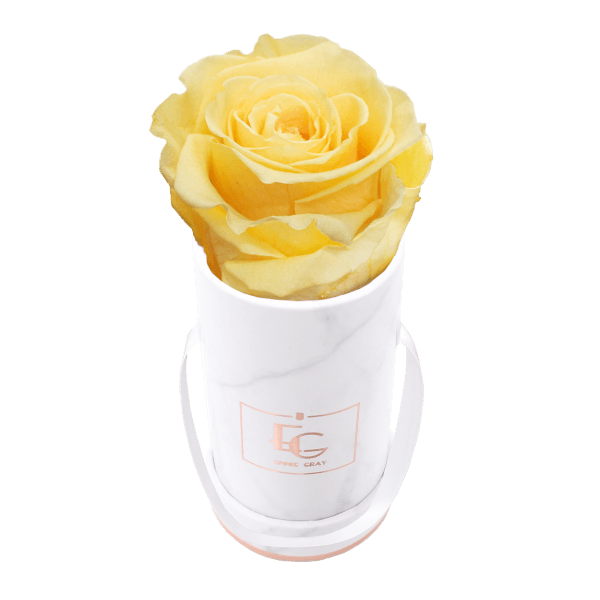 Classic Infinity Rosebox | Perfect Peach | XXS