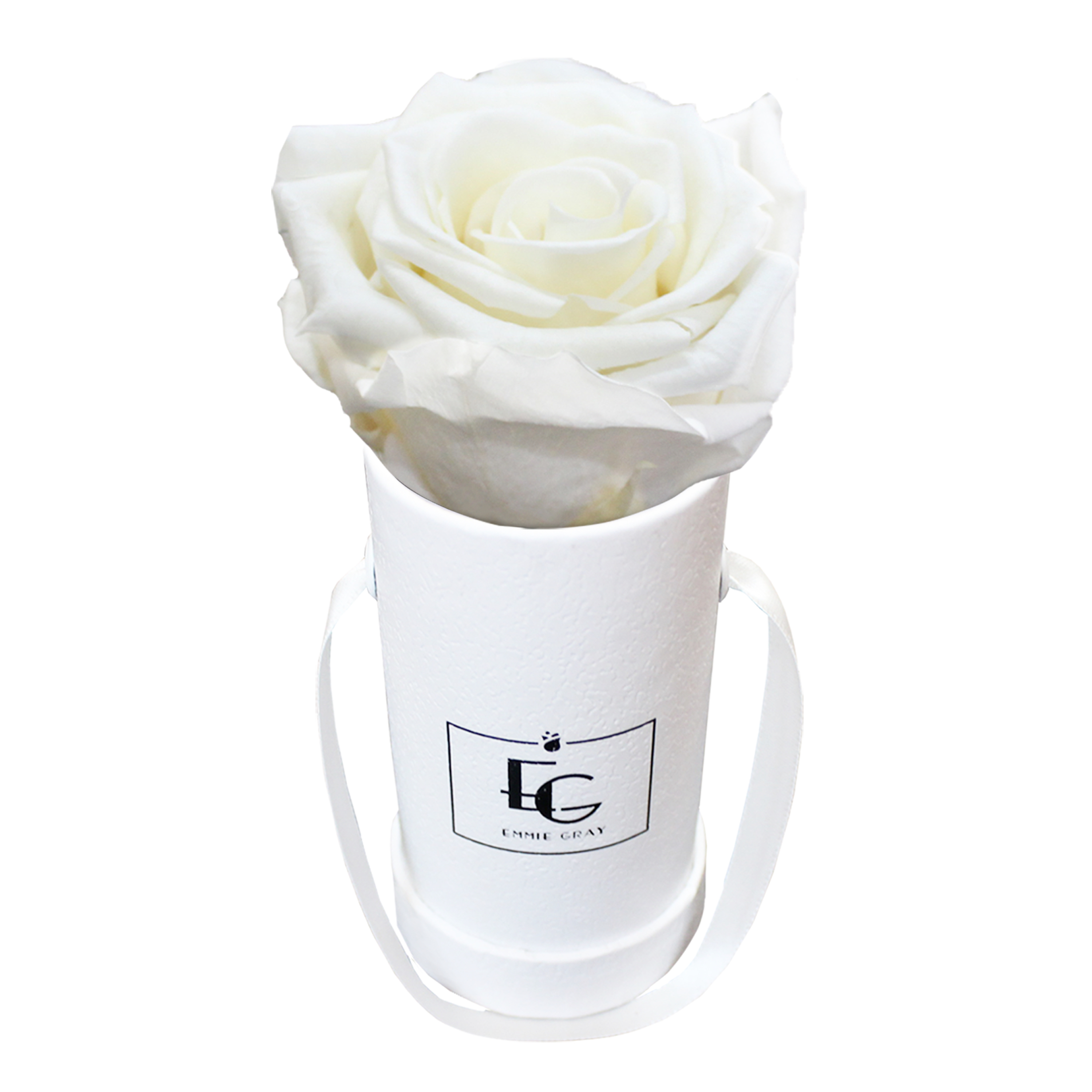 CLASSIC INFINITY ROSEBOX | PURE WHITE | XXS CLASSIC INFINITY ROSEBOX | PURE WHITE | XXS