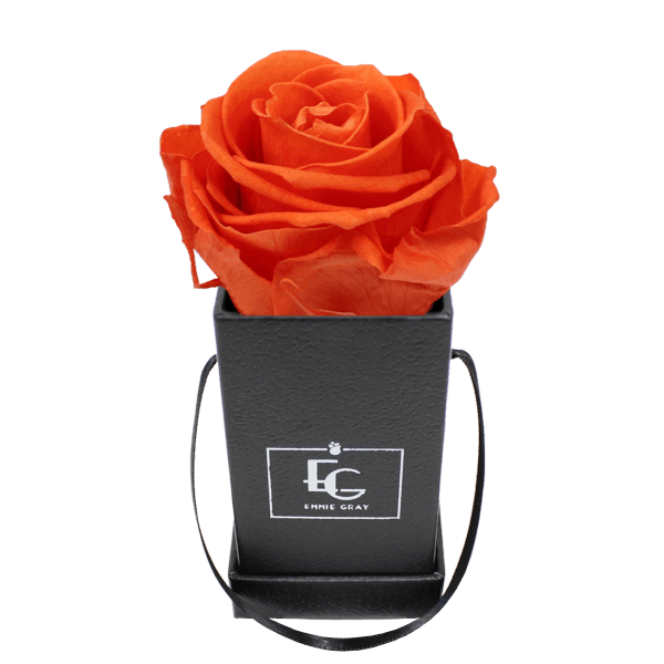 CLASSIC INFINITY ROSEBOX | ORANGE FLAME | XXS