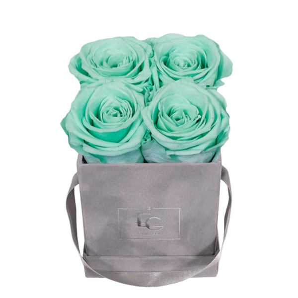 CLASSIC INFINITY ROSEBOX | MINTY GREEN | XS