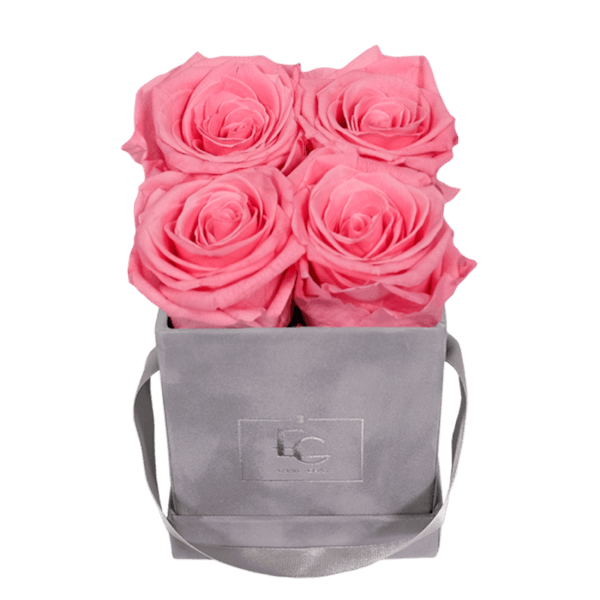 CLASSIC INFINITY ROSEBOX | BABY PINK | XS