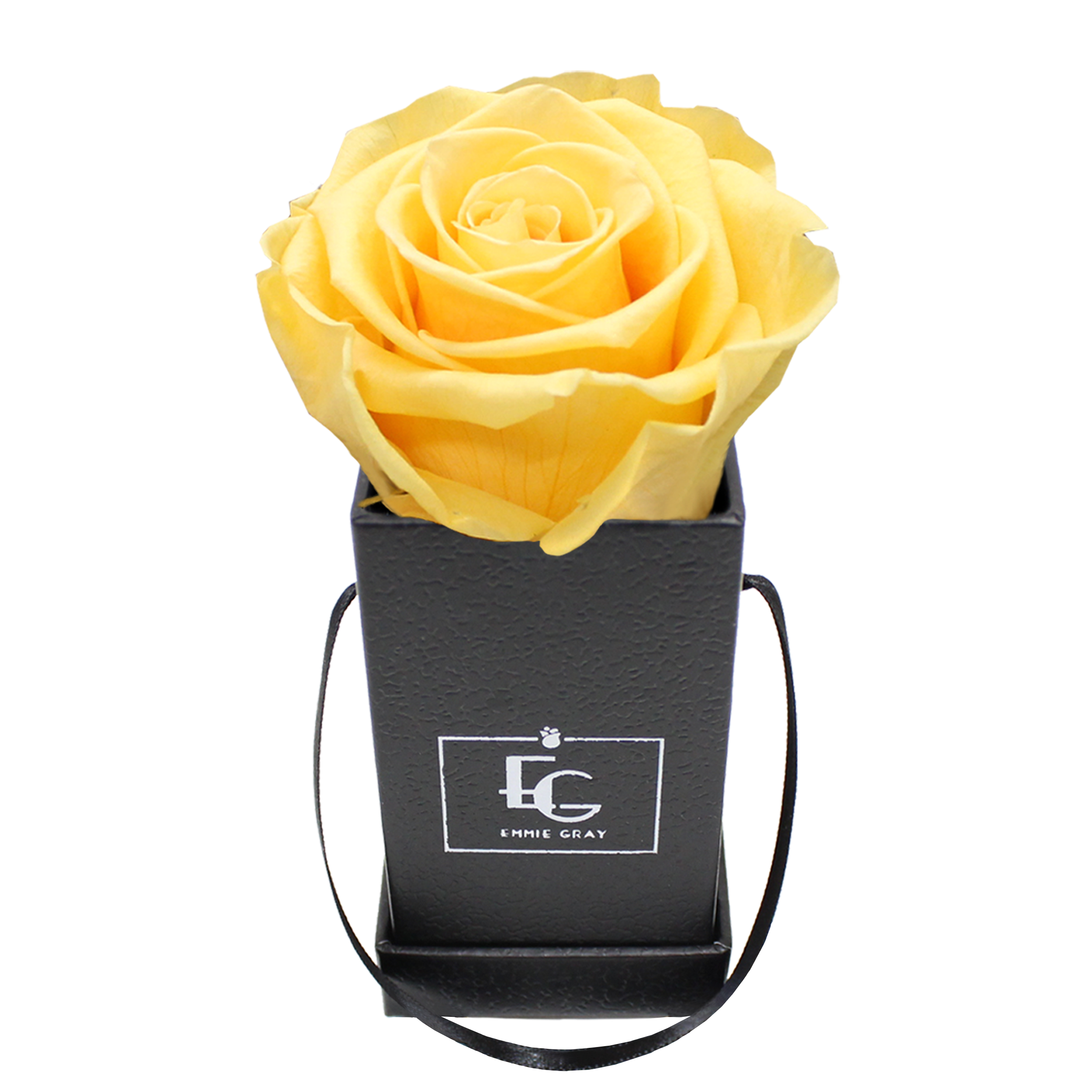 CLASSIC INFINITY ROSEBOX | PERFECT PEACH | XXS