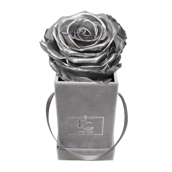 CLASSIC INFINITY ROSEBOX | SILVER | XXS