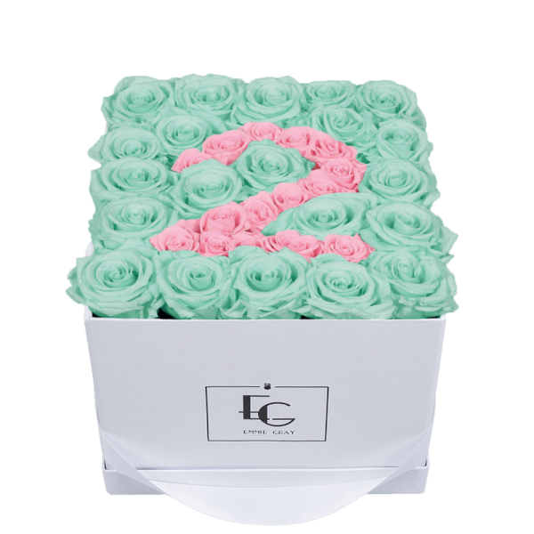 NUMBER INFINITY ROSEBOX | MINTY GREEN & BRIDAL PINK | M