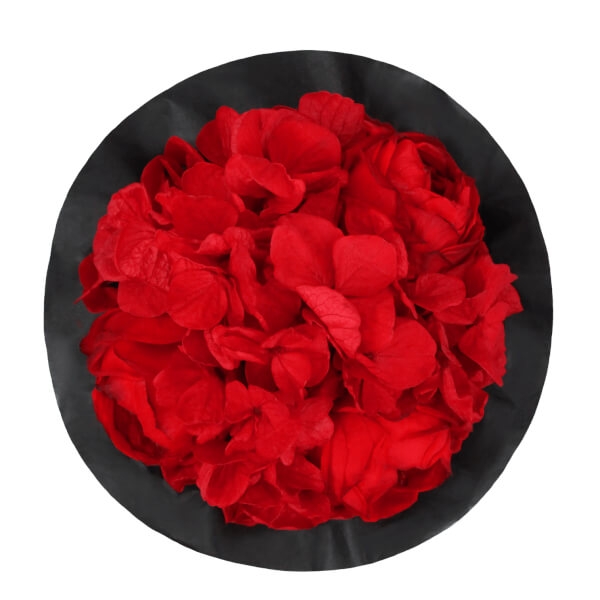 Splendid Peony Infinity Rosebox | Vibrant Red | XS