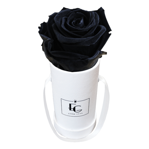 CLASSIC INFINITY ROSEBOX | BLACK BEAUTY | XXS