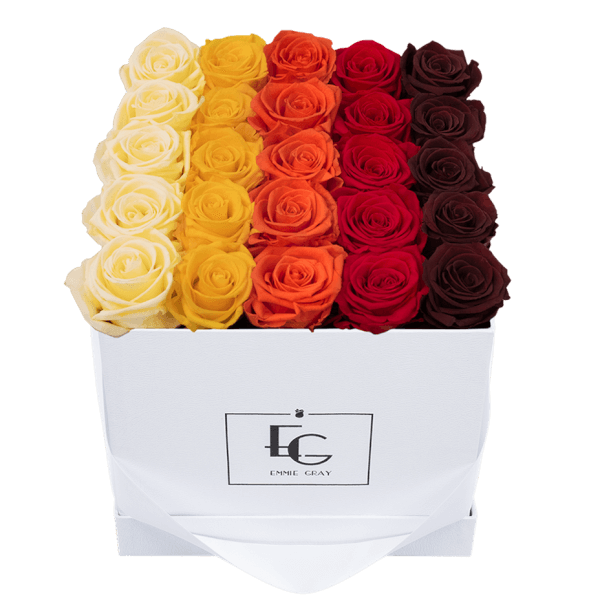 SHADES INFINITY ROSEBOX | CHAMPAGNE & PERFECT PEACH & ORANGE FLAME & VIBRANT RED & BURGUNDY