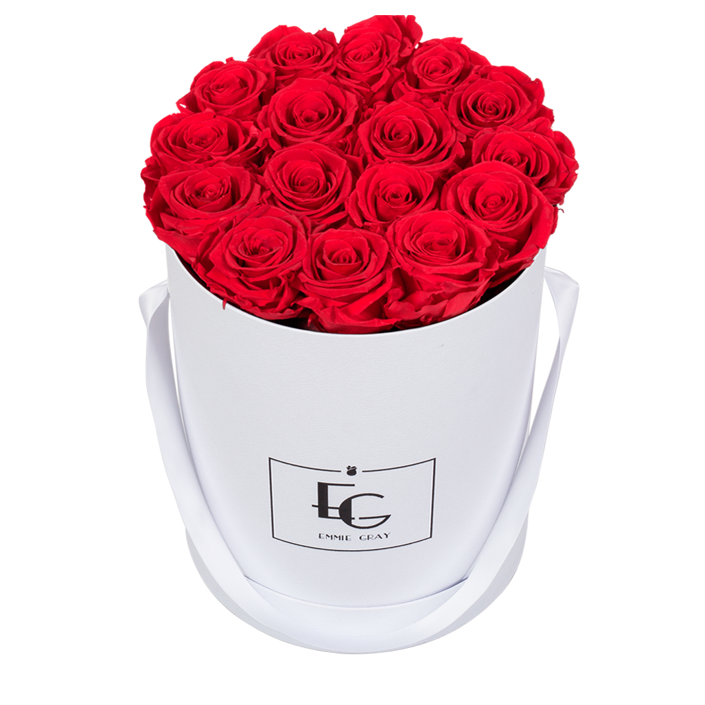CLASSIC INFINITY ROSEBOX | VIBRANT RED | M CLASSIC INFINITY ROSEBOX | VIBRANT RED | M