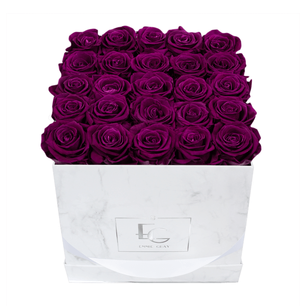 Classic Infinity Rosebox | Velvet Plum | M