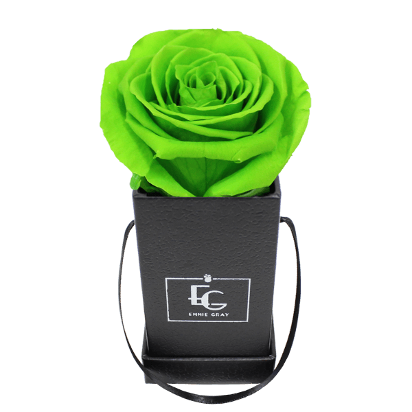 CLASSIC INFINITY ROSEBOX | GREEN GLOW | XXS