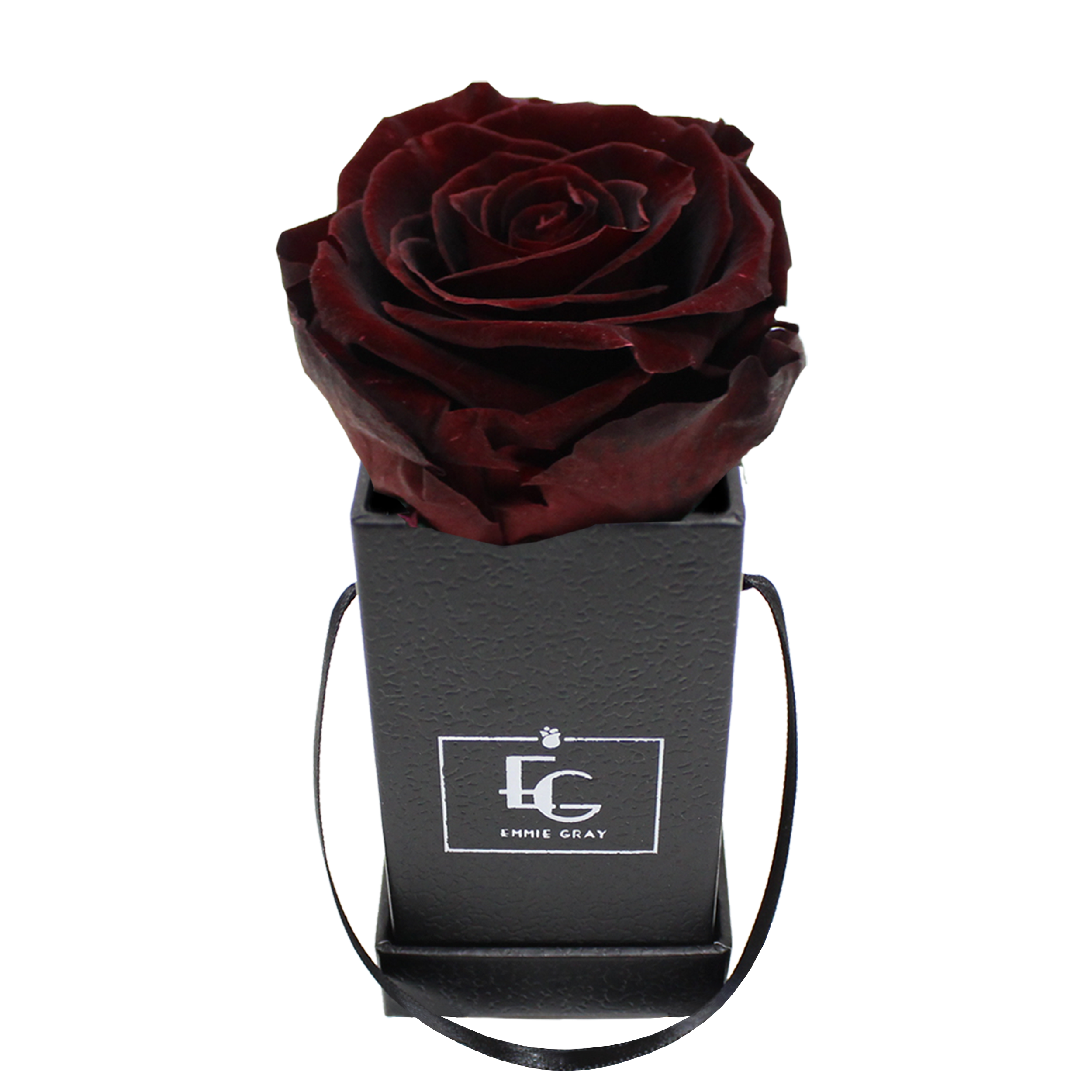 CLASSIC INFINITY ROSEBOX | BURGUNDY | XXS
