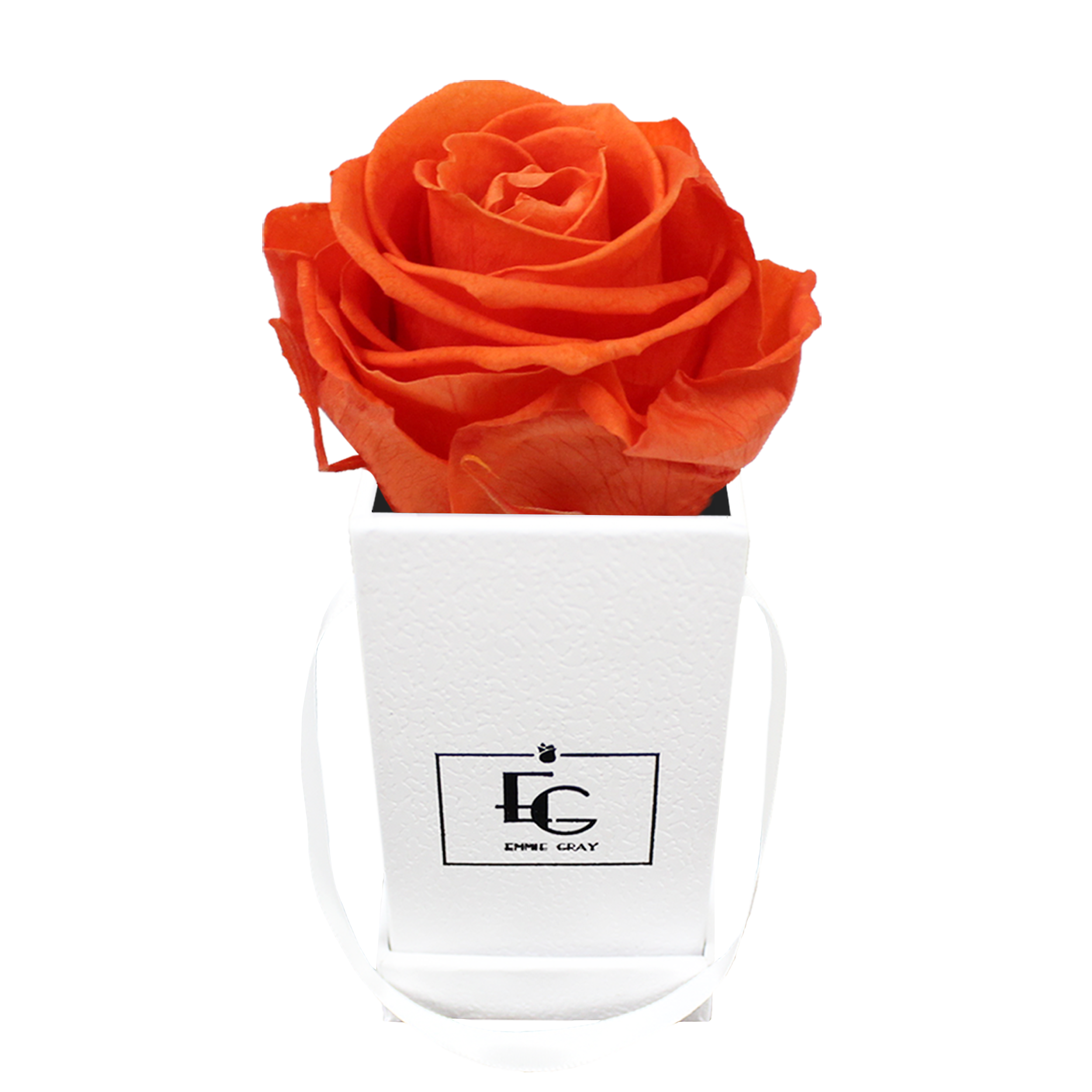 CLASSIC INFINITY ROSEBOX | ORANGE FLAME | XXS