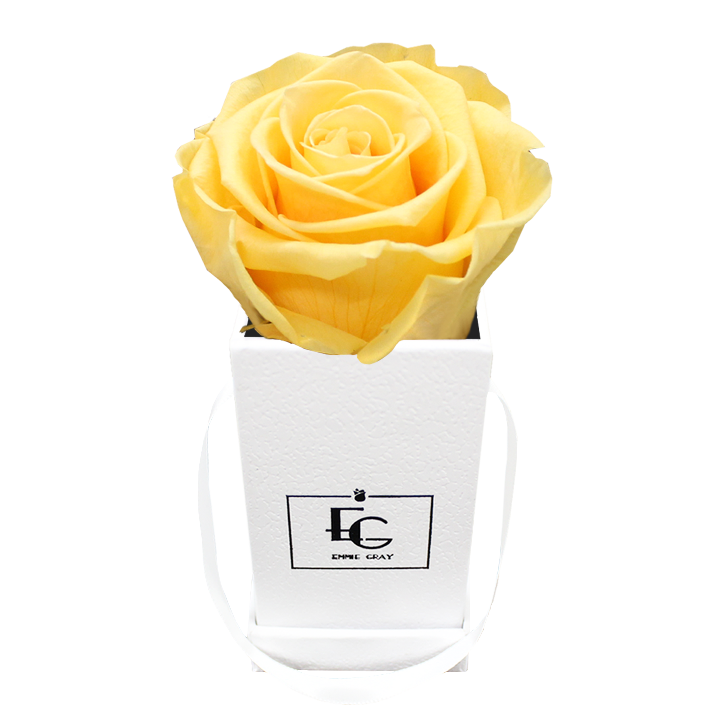 CLASSIC INFINITY ROSEBOX | PERFECT PEACH | XXS