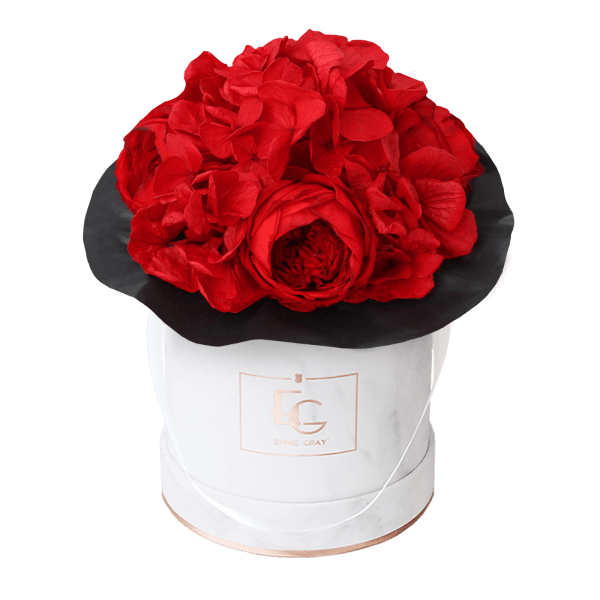 Splendid Peony Infinity Rosebox | Vibrant Red | XS