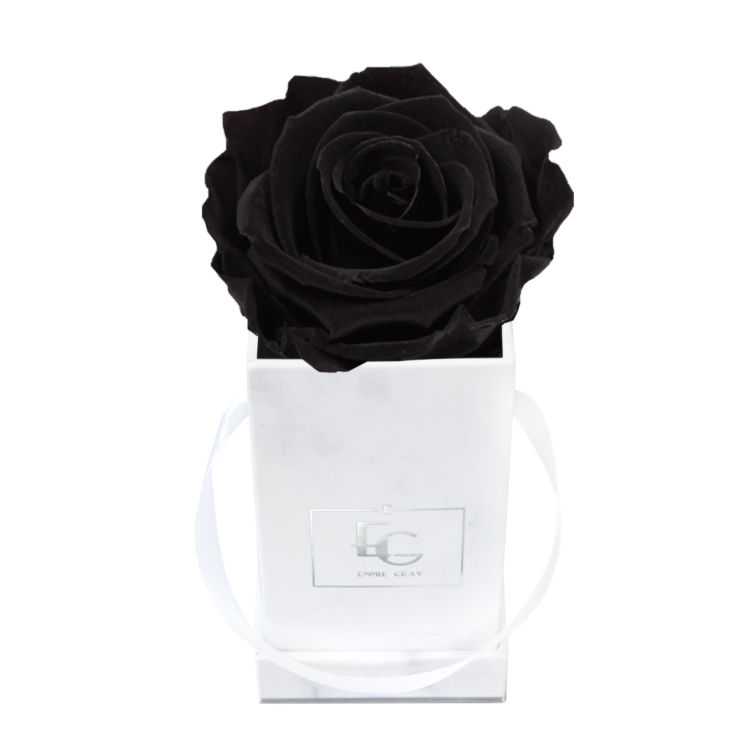 Classic Infinity Rosebox | Black Beauty | XXS