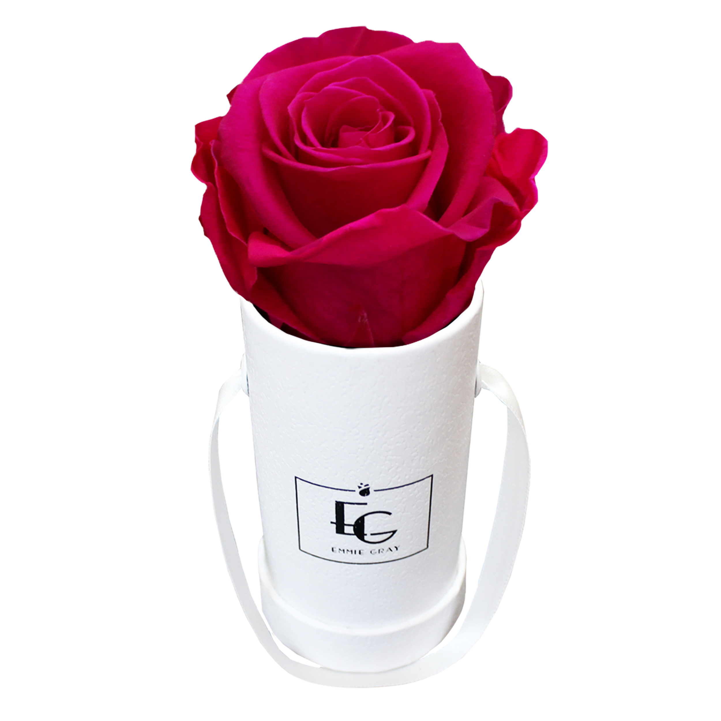 CLASSIC INFINITY ROSEBOX | HOT PINK | XXS