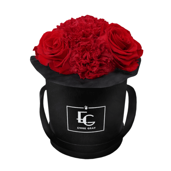 SPLENDID CARNATION INFINITY ROSEBOX | VIBRANT RED | XS