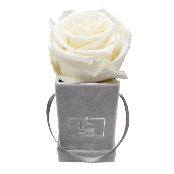 CLASSIC INFINITY ROSEBOX | PURE WHITE | XXS