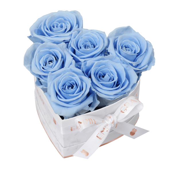 Classic Infinity Rosebox | Baby Blue | S