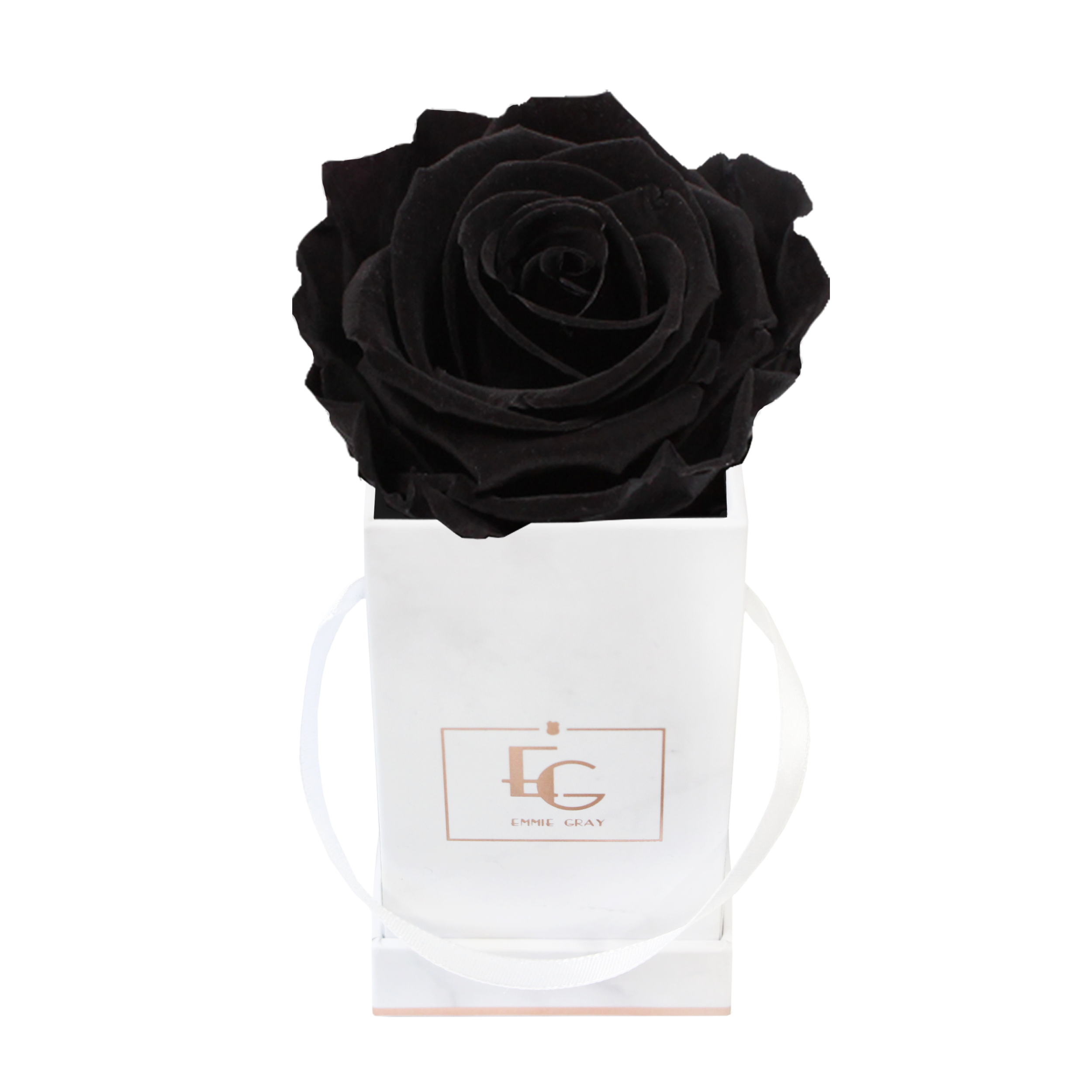 Classic Infinity Rosebox | Black Beauty | XXS