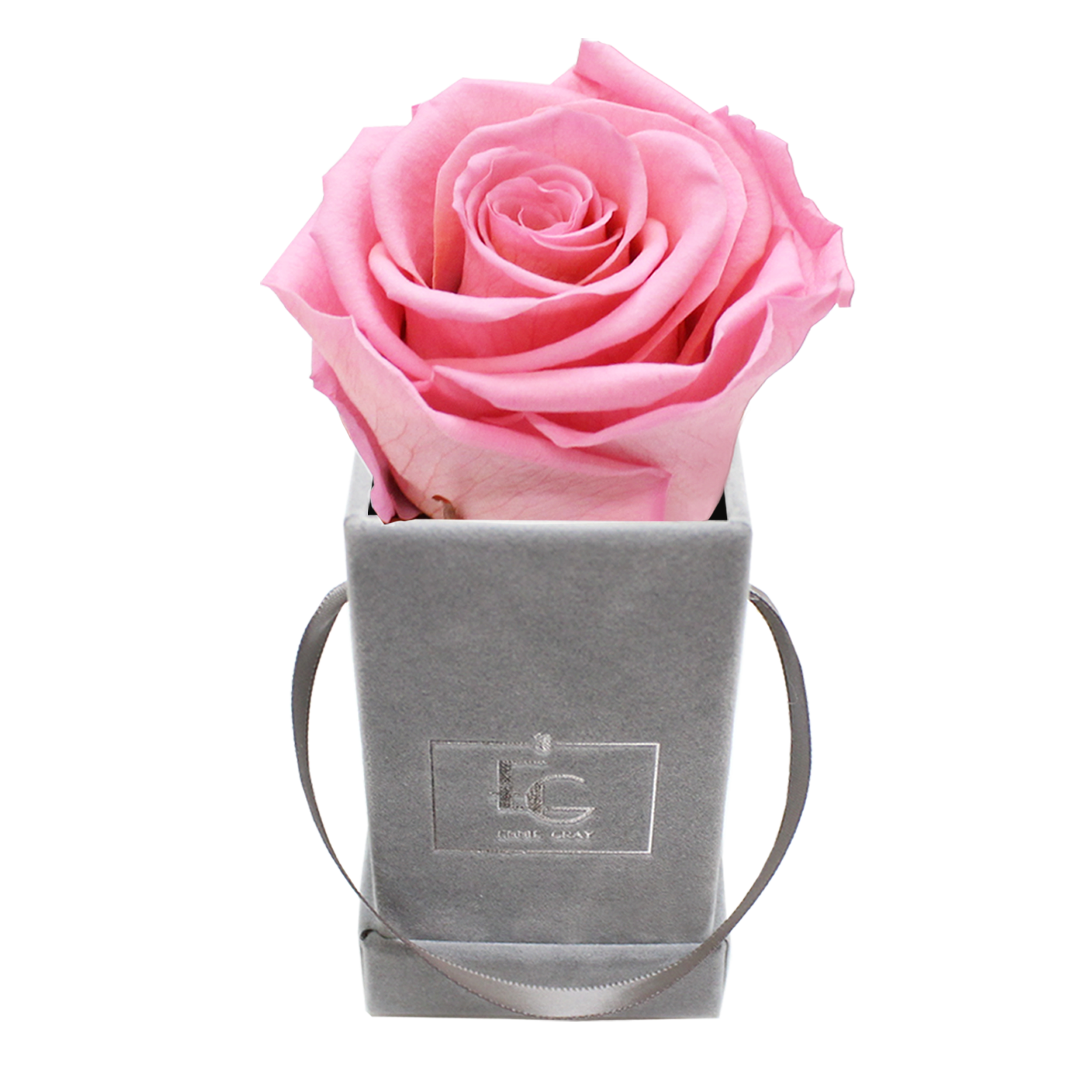 CLASSIC INFINITY ROSEBOX | BRIDAL PINK | XXS