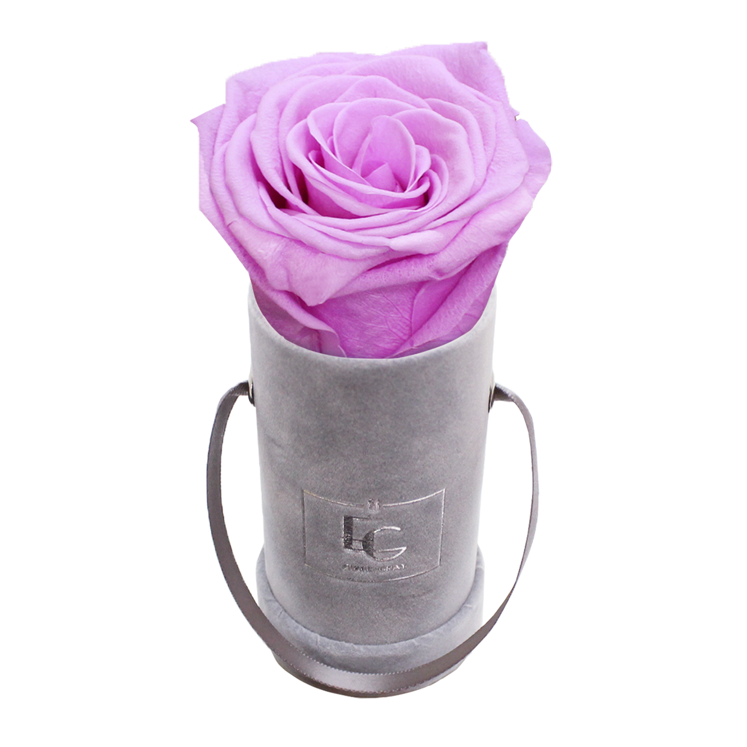 CLASSIC INFINITY ROSEBOX | BABY LILLI | XXS CLASSIC INFINITY ROSEBOX | BABY LILLI | XXS