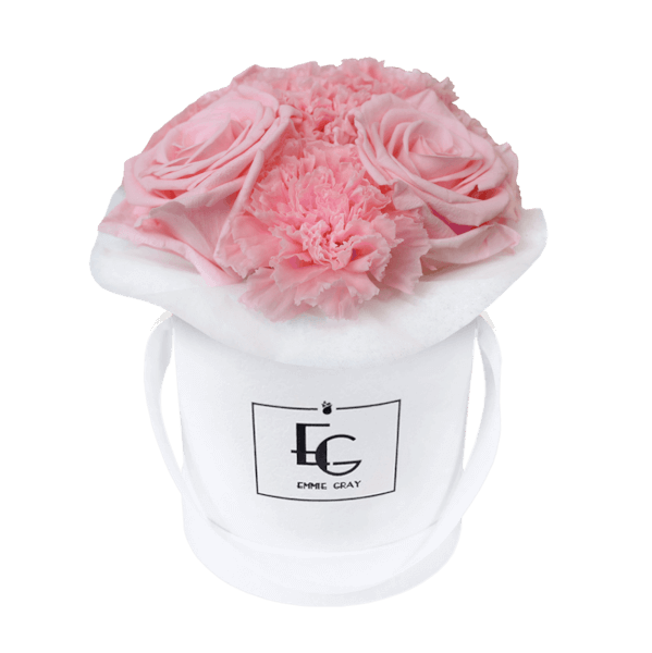 SPLENDID CARNATION INFINITY ROSEBOX | BRIDAL PINK | XS